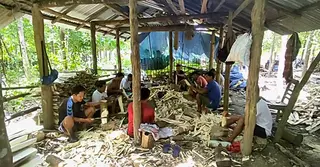 বাঘাইছড়ির পাহাড়ে আগর চাষ; আতরের ঘ্রাণে বাড়ছে রপ্তানি